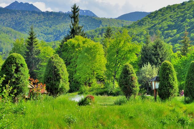 Beautiful nature in Carpathians mountains - бесплатный image #198137