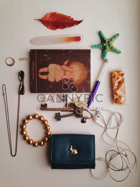 Necessary things from female handbag over white background - Kostenloses image #198717