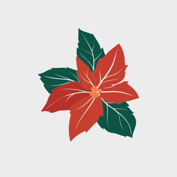 Christmas Poinsettia Flower - vector gratuit #202107 