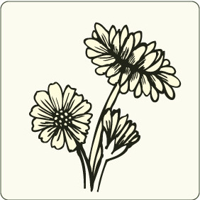 Floral 84 - бесплатный vector #206527