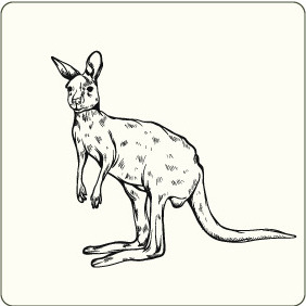 Kangaroo 2 - vector gratuit #207947 