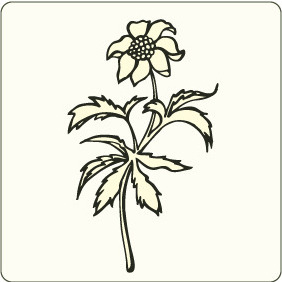 Flower 1 - Kostenloses vector #208397