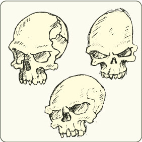Skulls Set 1 - vector gratuit #209497 