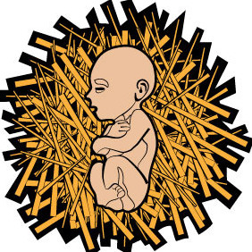 Baby In Straw Vector Illustration - Free vector #210797
