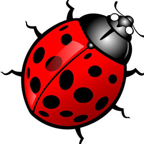 Ladybug Vector - vector #212497 gratis