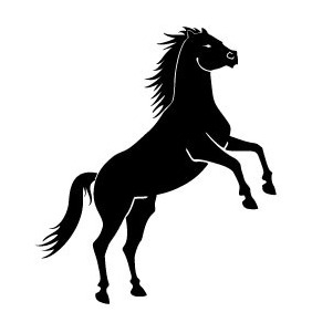 Black Wild Horse Vector - Free vector #217857