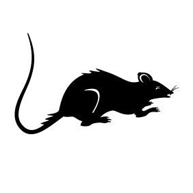 Rat Vector Image - vector #219857 gratis