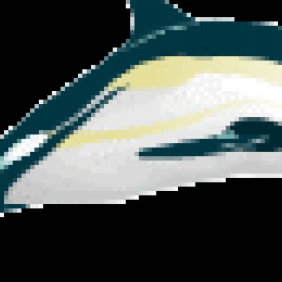 Dolphin - vector #223737 gratis