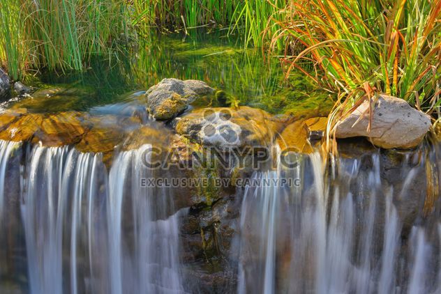 waterfall in autumn park - image gratuit #229537 
