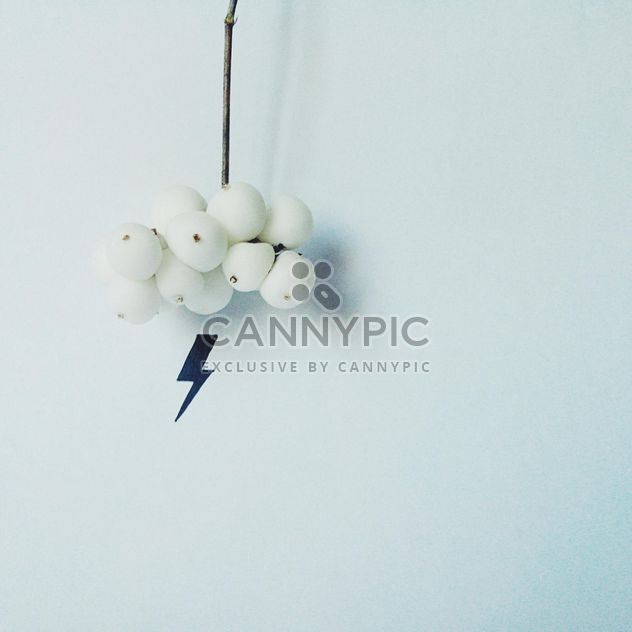 Snowberry and lightning isolated on white background - Free image #272187