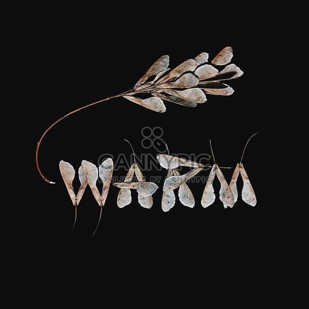 Word warm made of dry leaves of ash tree on black background - image #272227 gratis