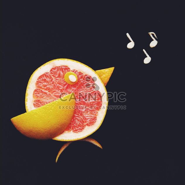Grapefruit bird - image #272287 gratis