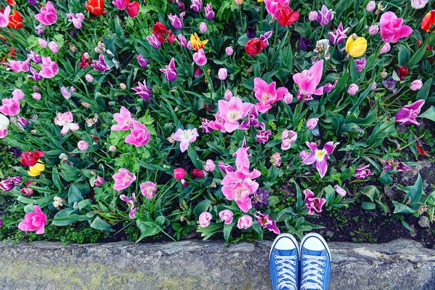 Feet in snickers near spring flowers - image gratuit #272347 
