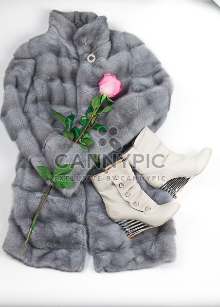 Warm fur coat, boots and rose on white background - Kostenloses image #272537