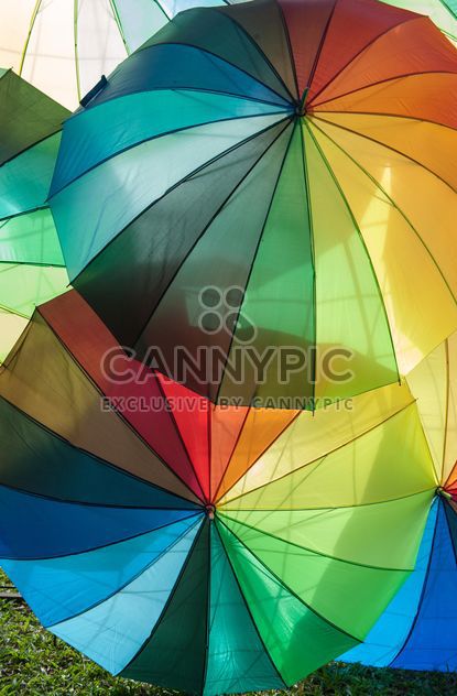 Rainbow umbrellas - image gratuit #273147 