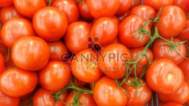 Bunch of Tomatoes - image gratuit #274837 