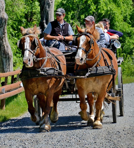 carriage drawn by two horses - image gratuit #274917 