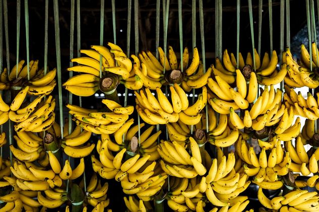 Bananas on street market - бесплатный image #275037
