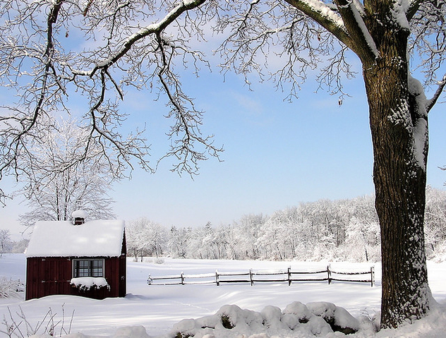 farmstand in winter - бесплатный image #275877