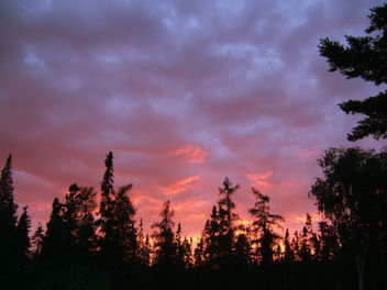Another pink sunset : ) - бесплатный image #276477