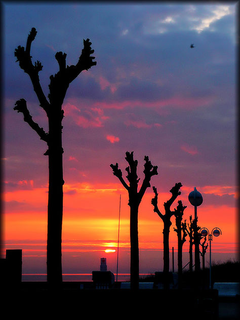 sunrise baltic sea 2 - Free image #278457