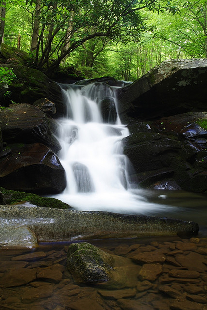 Seneca-Creek-Waterfall-Underwater-Rocks - image #278637 gratis