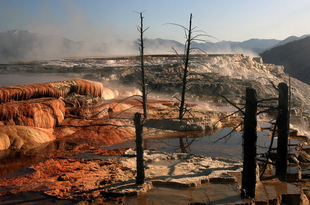 Nature - Mammoth Hot Springs, Yellowstone National Park - Free image #280007