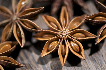 Star Anise Series - Free image #280837