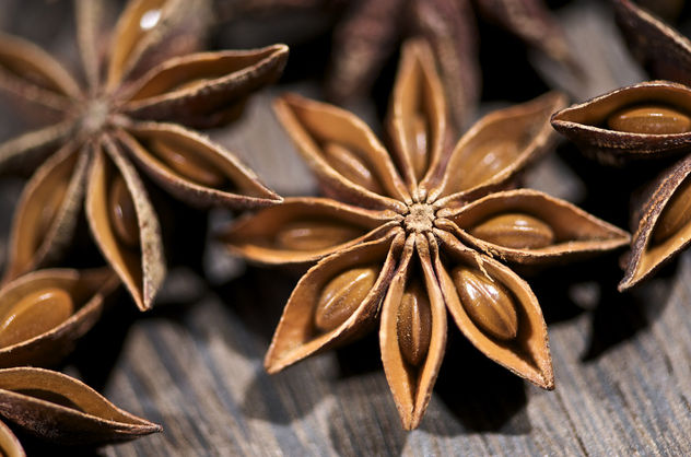 Star Anise Series - Kostenloses image #280837