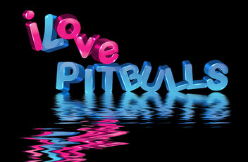 I Love Pitbulls, 3D Letters - image gratuit #281297 
