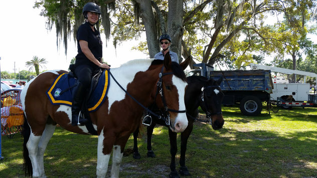 Pinellas Park Mounted Patrol - image gratuit #283617 