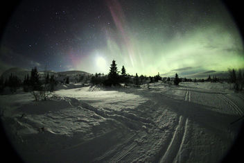Trysil Aurora Borealis - image gratuit #285897 