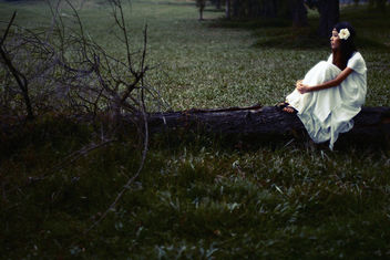 Girl In The Woods - бесплатный image #287217