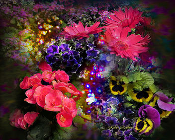 Good Night Flowers - image gratuit #288867 