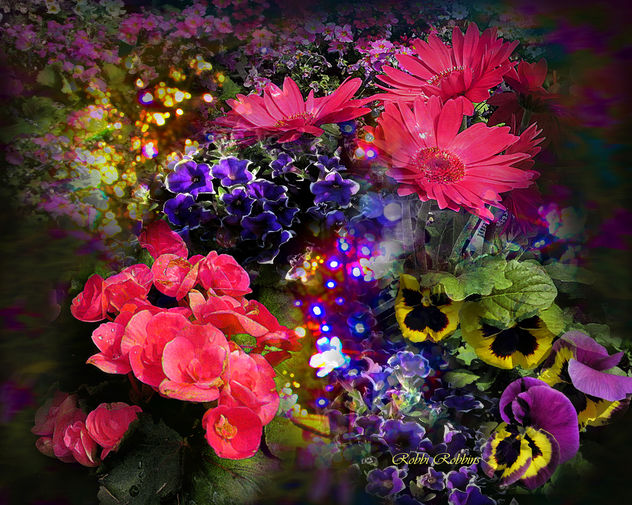 Good Night Flowers - image #288867 gratis