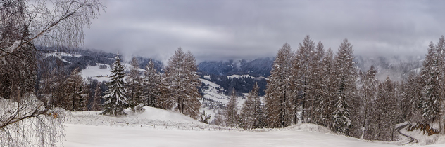 Winter panorama - Free image #291047