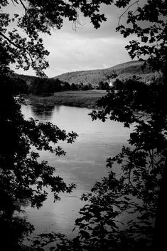 Leaf Curtain River View - image gratuit #292157 