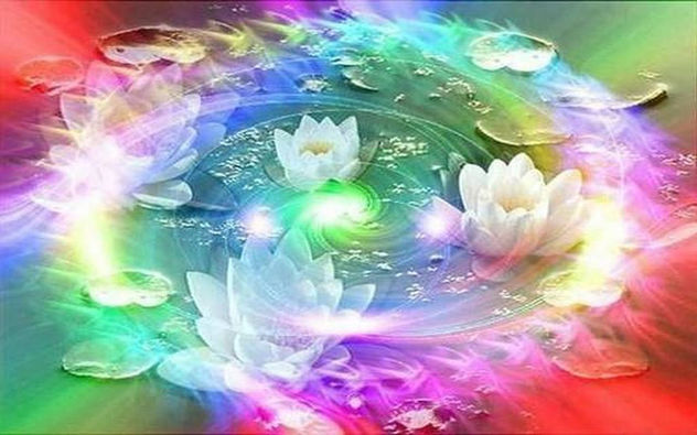 Rainbow Lotus - image gratuit #293077 