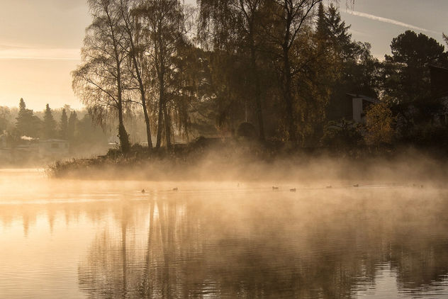 Misty morning - Free image #294587