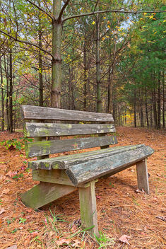 North Point Pine Trail - HDR - бесплатный image #294887