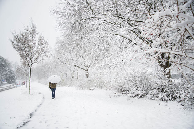 Walking in a winter wonderland? - Free image #295547