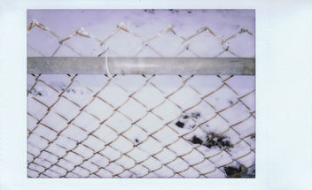 Backyard Fence. - бесплатный image #296157