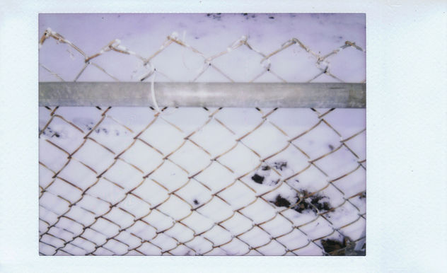 Backyard Fence. - Kostenloses image #296157