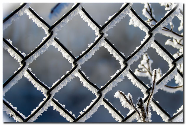 (210/365) Behind Fences on a Very Cold Morning in New England - Free image #296417