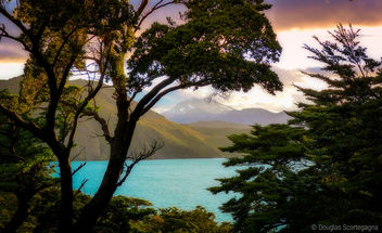 The colors of Patagonia - Free image #296827