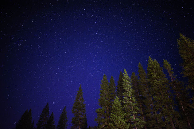 Starry night - image #298787 gratis