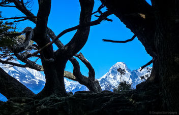 Andes and Tierra del Fuego - image #300757 gratis
