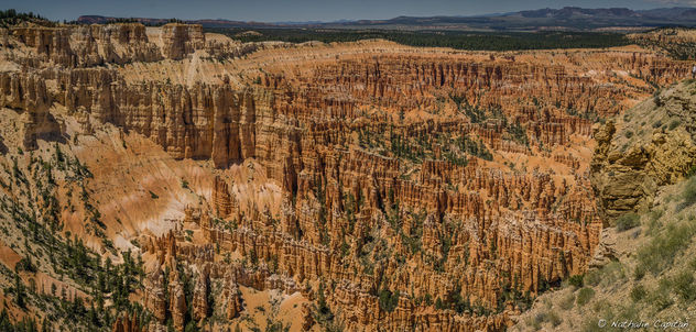 Bryce Panorama - Free image #301117