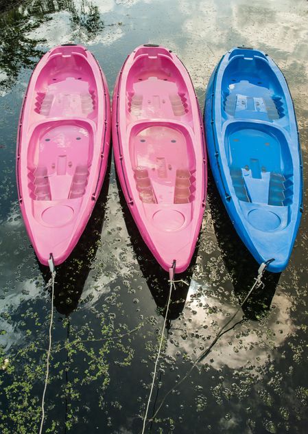 Colorful kayaks docked - image #301667 gratis