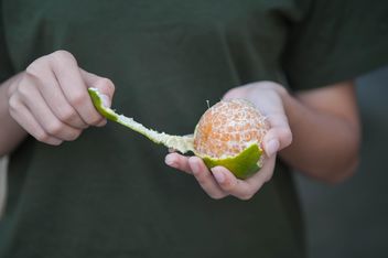 Girl peeling tangerine - бесплатный image #301977